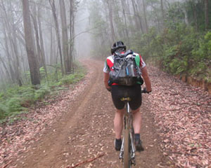 Mountain Bike Riding